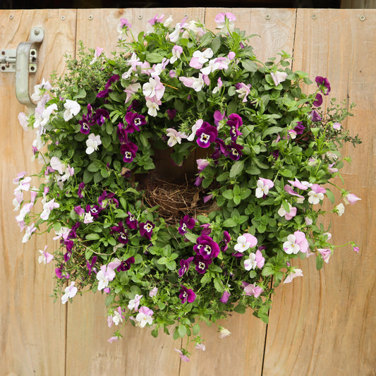 May Drop-In: Living Floral Wreath